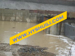 䓉��l�T|�יM�S���D(zhu��n)��l�T 