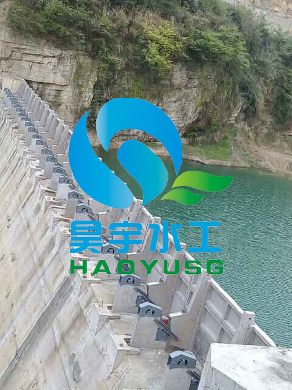 ˮ���Ԅӷ����